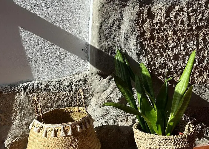 Casa Da Pipela Santo Andre (Vila Andre)